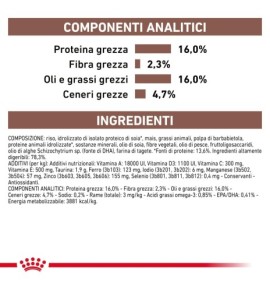 Royal Canin Veterinary Health Nutrition Hepatic Wet Pet Food for Dogs | Liver Support Formula