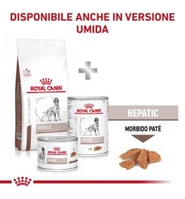 Royal Canin Veterinary Health Nutrition Hepatic Wet Pet Food for Dogs | Liver Support Formula