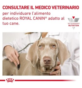 Royal Canin Veterinary Health Nutrition Hepatic Wet Pet Food for Dogs | Liver Support Formula