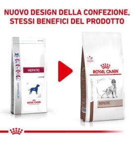 Royal Canin Veterinary Health Nutrition Hepatic Wet Pet Food for Dogs | Liver Support Formula