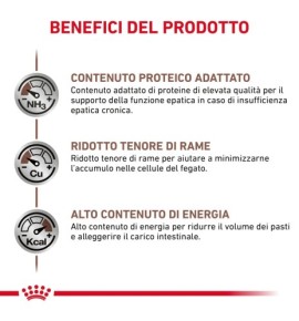 Royal Canin Veterinary Health Nutrition Hepatic Wet Pet Food for Dogs | Liver Support Formula