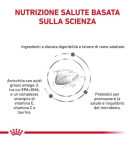 Royal Canin Veterinary Health Nutrition Hepatic Wet Pet Food for Dogs | Liver Support Formula