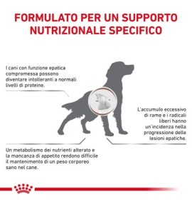 Royal Canin Veterinary Health Nutrition Hepatic Wet Pet Food for Dogs | Liver Support Formula