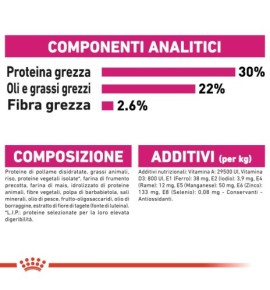 ROYAL CANIN CANINE CARE NUTRITION EXIGENT Wet Pet Food for Dog - Balanced Nutrition for Picky Eaters