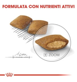 ROYAL CANIN CANINE CARE NUTRITION EXIGENT Wet Pet Food for Dog - Balanced Nutrition for Picky Eaters