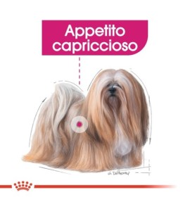 ROYAL CANIN CANINE CARE NUTRITION EXIGENT Wet Pet Food for Dog - Balanced Nutrition for Picky Eaters