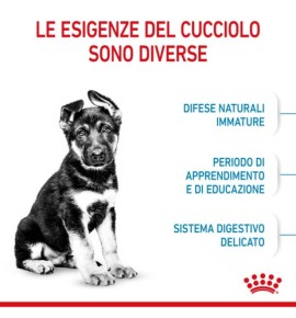 ROYAL CANIN SIZE HEALTH NUTRITION PUPPY - MAXI Dry Pet Food: Complete Nutrition for Large Breed Puppies