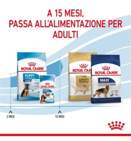 Royal Canin Size Health Nutrition Puppy - Maxi Dry Pet Food: Complete Nutrition for Large Breed Puppies