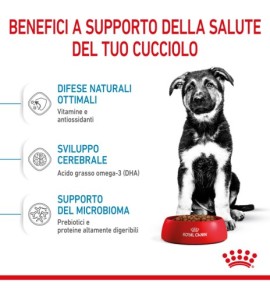 Royal Canin Size Health Nutrition Puppy - Maxi Dry Pet Food: Complete Nutrition for Large Breed Puppies