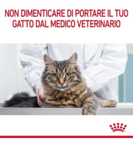 ROYAL CANIN® FELINE CARE NUTRITION DIGESTIVE CARE Dry Pet Food for Cat - Promote Digestive Health with Premium Nutrition