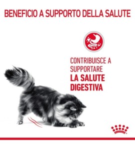ROYAL CANIN® FELINE CARE NUTRITION DIGESTIVE CARE Dry Pet Food for Cat - Supporto digestivo per il benessere felino