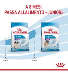 "Royal Canin Size Health Nutrition Puppy - Giant Dry Pet Food for Dogs | Complete Nutrition for Growing Puppies"