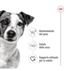 ROYAL CANIN® SIZE HEALTH NUTRITION MINI ADULT 8+ - Alimento secco per cani maturi di taglia piccola (fino a 10 kg) | Acquista or