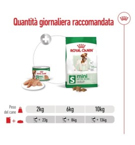ROYAL CANIN® SIZE HEALTH NUTRITION MINI ADULT 8+ - Alimento secco per cani maturi di taglia piccola (fino a 10 kg) | Acquista or