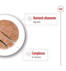 ROYAL CANIN® SIZE HEALTH NUTRITION MINI ADULT 8+ - Alimento secco per cani maturi di taglia piccola (fino a 10 kg) | Acquista or