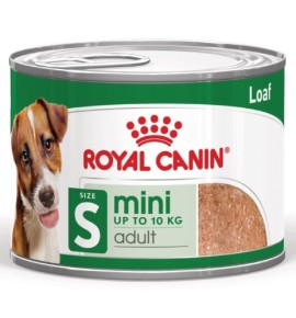 ROYAL CANIN® SIZE HEALTH NUTRITION MINI ADULT 8+ - Alimento secco per cani maturi di taglia piccola (fino a 10 kg) | Acquista or