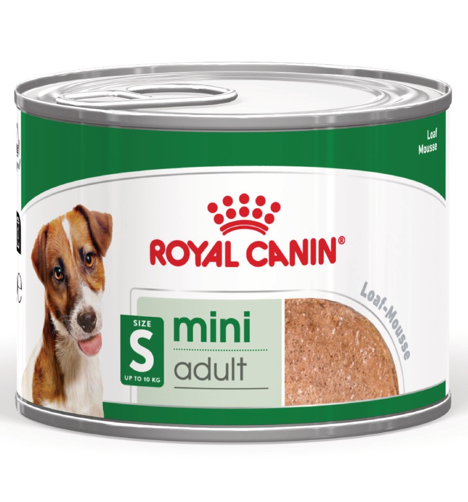 ROYAL CANIN® SIZE HEALTH NUTRITION MINI ADULT 8+ - Alimento secco per cani maturi di taglia piccola (fino a 10 kg) | Acquista or