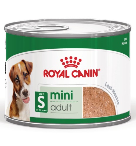 ROYAL CANIN® SIZE HEALTH NUTRITION MINI ADULT 8+ - Alimento secco per cani maturi di taglia piccola (fino a 10 kg) | Acquista or