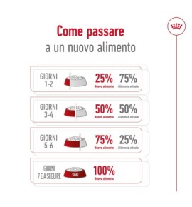 ROYAL CANIN® SIZE HEALTH NUTRITION MINI ADULT 8+ - Alimento secco per cani maturi di taglia piccola (fino a 10 kg) | Acquista or