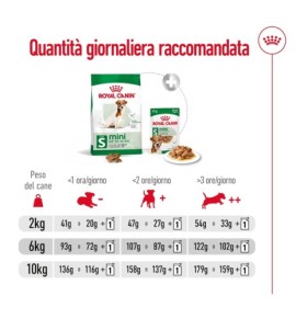 ROYAL CANIN® SIZE HEALTH NUTRITION MINI ADULT 8+ - Alimento secco per cani maturi di taglia piccola (fino a 10 kg) | Acquista or