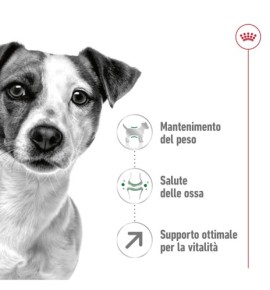 ROYAL CANIN® SIZE HEALTH NUTRITION MINI ADULT 8+ - Alimento secco per cani maturi di taglia piccola (fino a 10 kg) | Acquista or