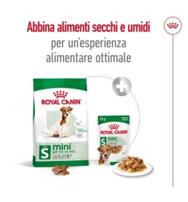 ROYAL CANIN® SIZE HEALTH NUTRITION MINI ADULT 8+ - Alimento secco per cani maturi di taglia piccola (fino a 10 kg) | Acquista or