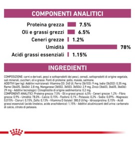 ROYAL CANIN® VETERINARY HEALTH NUTRITION RENAL Alimento umido per gatti - Supporto nutrizionale per gatti con problemi renali
