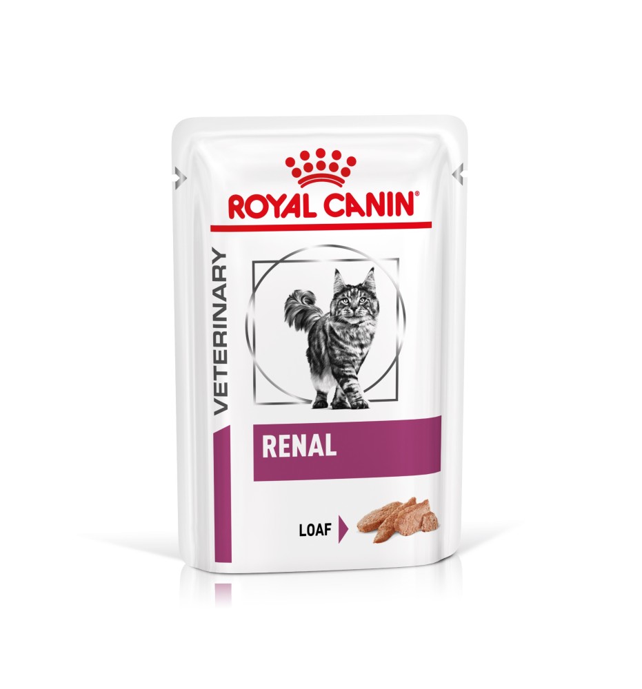 ROYAL CANIN® VETERINARY HEALTH NUTRITION RENAL Alimento umido per gatti - Supporto nutrizionale per gatti con problemi renali