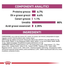 ROYAL CANIN® VETERINARY HEALTH NUTRITION RENAL WITH BEEF - Alimento umido per gatti | Supporto renale | Ingredienti di alta qual