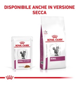 ROYAL CANIN® VETERINARY HEALTH NUTRITION RENAL WITH BEEF - Alimento umido per gatti | Supporto renale | Ingredienti di alta qual