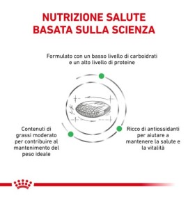 ROYAL CANIN® VETERINARY HEALTH NUTRITION DIABETIC Alimento secco per cani | Supporto nutrizionale per cani diabetici