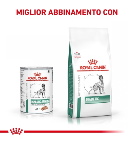 ROYAL CANIN® VETERINARY HEALTH NUTRITION DIABETIC Alimento secco per cani - Recensione e prezzi migliori 2022