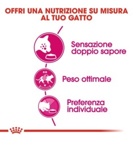 ROYAL CANIN EXIGENT 35/30 Savour Sensation Adult Cat Dry Food | Nutritious and Delicious Option for Picky Felines