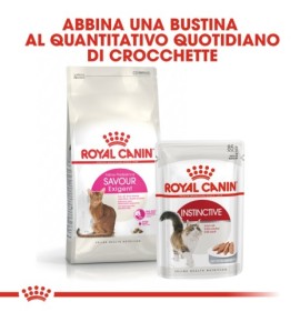 ROYAL CANIN EXIGENT 35/30 Savour Sensation Adult Cat Dry Food - Buy Now for Finicky Felines