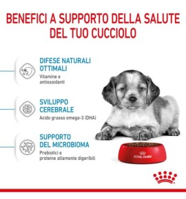 "ROYAL CANIN SIZE HEALTH NUTRITION PUPPY - MEDIUM Dry Pet Food for Dog | Complete Nutrition for Growing Puppies"