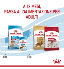 "Royal Canin Size Health Nutrition Puppy - Medium Dry Pet Food for Dog | Complete & Balanced Nutrition for Growing Puppies"