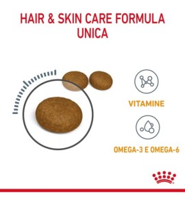 ROYAL CANIN® FELINE CARE NUTRITION HAIR&SKIN CARE Dry Pet Food for Cat - Promotes Healthy Skin and Coat