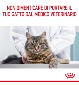ROYAL CANIN® FELINE CARE NUTRITION HAIR&SKIN CARE Dry Pet Food for Cat - Promotes Healthy Skin and Coat