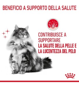 ROYAL CANIN® FELINE CARE NUTRITION HAIR&SKIN CARE Dry Pet Food for Cat - Promotes Healthy Skin and Coat