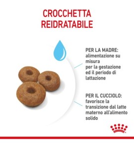 ROYAL CANIN SIZE HEALTH NUTRITION STARTER Mother & Babydog - MAXI Dry Pet Food for Dog | Buy Online Now