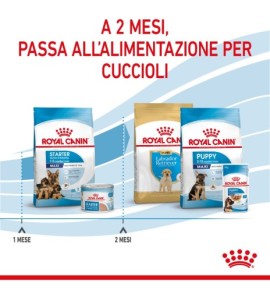 ROYAL CANIN SIZE HEALTH NUTRITION STARTER Mother & Babydog - MAXI Dry Pet Food for Dog | Buy Online Now