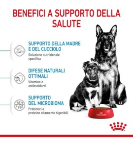ROYAL CANIN SIZE HEALTH NUTRITION STARTER Mother & Babydog - MAXI Dry Pet Food for Dog | Buy Online Now