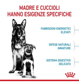 Royal Canin Size Health Nutrition Starter Mother & Babydog - Maxi Dry Pet Food for Dogs | Buy Online Now