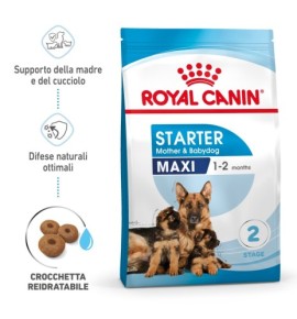 Royal Canin Size Health Nutrition Starter Mother & Babydog - Maxi Dry Pet Food for Dogs | Buy Online Now