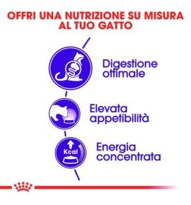 Royal Canin Feline Health Nutrition Sensible 33 Dry Pet Food - Best Food for Cats