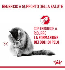 "ROYAL CANIN® FELINE CARE NUTRITION HAIRBALL CARE Dry Pet Food for Cats - Promotes Healthy Digestion and Reduces Hairballs"