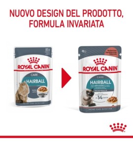 ROYAL CANIN® FELINE CARE NUTRITION HAIRBALL CARE Dry Pet Food for Cat – Promotes Healthy Digestion and Reduces Hairballs