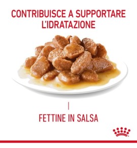 ROYAL CANIN® FELINE CARE NUTRITION URINARY CARE Dry Pet Food for Cat: Support your cat's urinary health