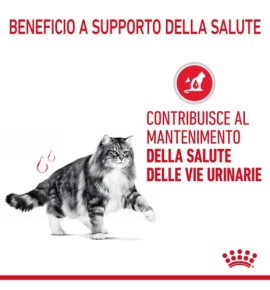 "ROYAL CANIN® FELINE CARE NUTRITION URINARY CARE Dry Pet Food for Cats - Promote Urinary Health"