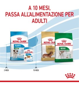 Royal Canin Size Health Nutrition Puppy - Mini Dry Pet Food for Dogs | Complete Nutrition for Small Breed Puppies